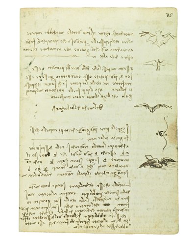 Codex on the Flight of Birds, Folio 15 Recto by Leonardo da Vinci